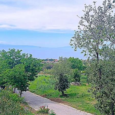 Cozy In With Wifi Apartment